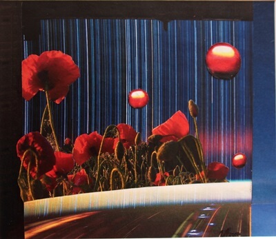 Roter Mohn (Collage)